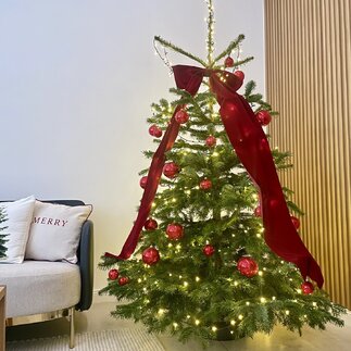 Ako vyzdobiť živý vianočný stromček, aby vynikol vo vašej domácnosti